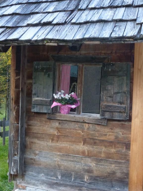 Bio-Urlaubshof Dansbach Villa Spital Am Pyhrn Buitenkant foto